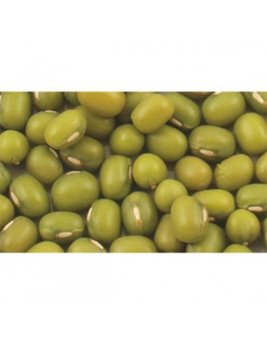 Soja verde Bio Granel
