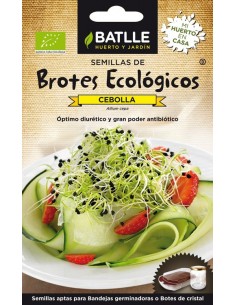 Brotes de cebolla Bio 6g...
