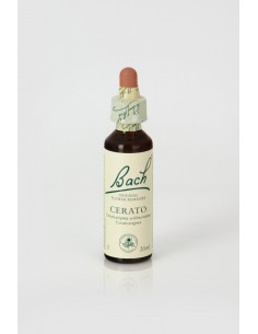 Cerato (nº 5) 20ml Flores...