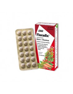 Floradix 84comp Salus