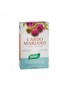 Fitocultura cardo mariano...