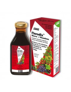 Floradix 500ml Salus