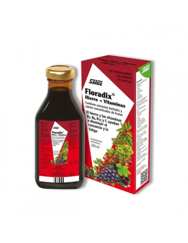 Floradix 250ml Salus