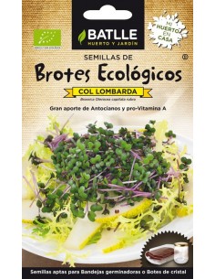 Brotes de col lombarda Bio...