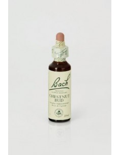 Chestnut bud (nº 7) 20ml...
