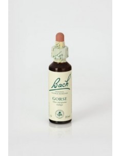 Gorse (nº 13) 20ml Flores...