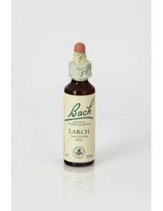 Larch (nº 19) 20ml Flores...