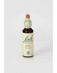 Pine (nº 24) 20ml Flores de...