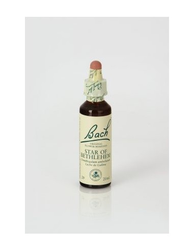 Star of Bethlehem (nº 29) 20ml Flores de