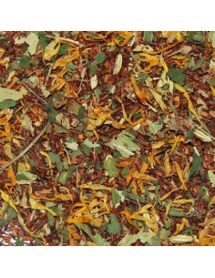 Rooibos digestivo Granel