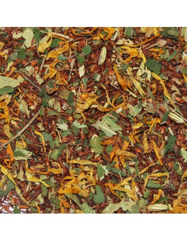 Rooibos digestivo Granel