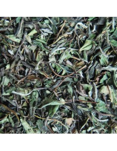 Té blanco pai mu tan Bio...