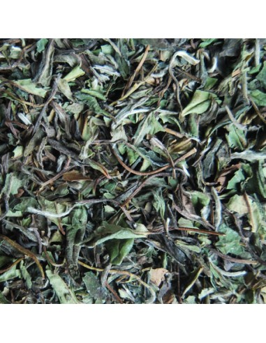 Té blanco pai mu tan Bio Granel