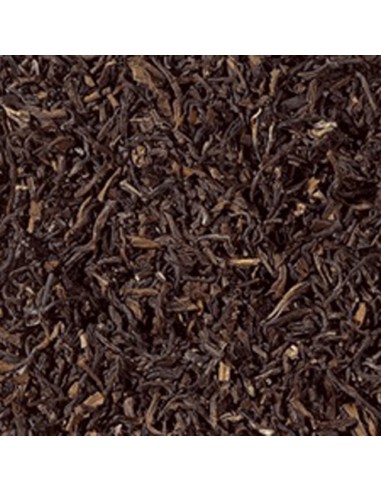 Té negro Darjeeling Bio Granel