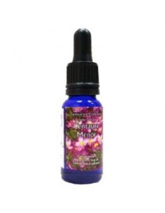 Centaura menor 15ml Esencia...