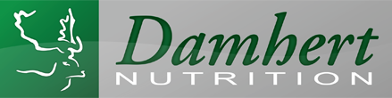 Damhert