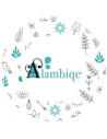 Alambiqe