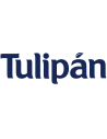 Tulipán